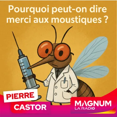 Pierre Castor 27.06.2025 : Moustiques : pourquoi peut-on dire un...