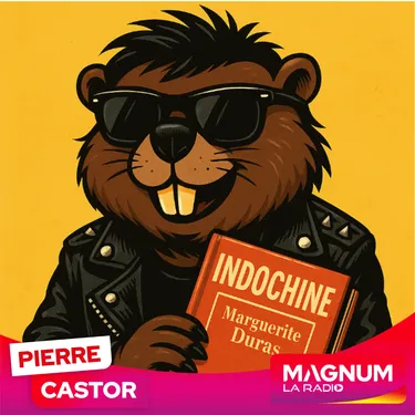 Pierre CASTOR 17.06.2025 : Indochine : pourquoi le groupe a-t-il...
