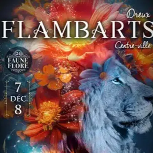DREUX - Les Flambarts
