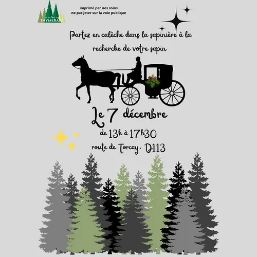 MAILLEBOIS - Sortie calèche les Sapins du Thymerais