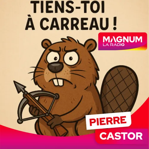Pierre Castor 08.04.2025 : Pourquoi dit-on de nous tenir à carreau ?