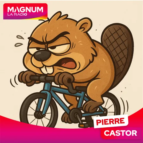 Pierre Castor 11.06.2025 : D'où vient l'expression "avoir la tête...