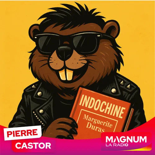 Pierre CASTOR 17.06.2025 : Indochine : pourquoi le groupe a-t-il...